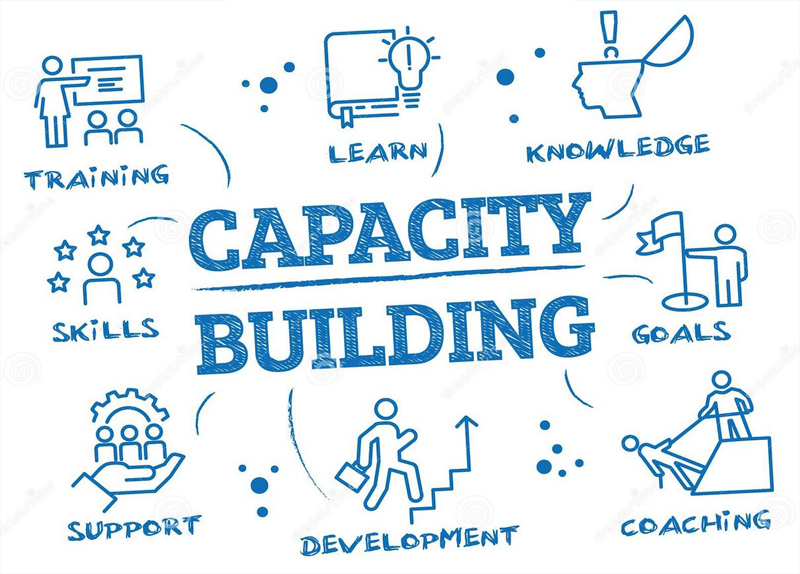 Capacity Building